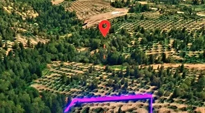 
          SAHİBİNDEN SATILIK GEMLİK'TE 2.325 M² ZEYTİN BAHÇESİ
        