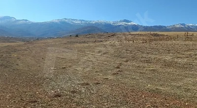 
          Sahibinden satılık tarla
        