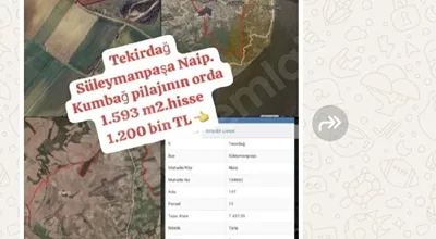 
          Tekirdağ Süleymanpaşa Naip
        