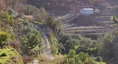 
          Alanya türktaş kadastro yoluna cepheli bahce icine konteyner, bungalov ev veya kulube yapilabilir
        
