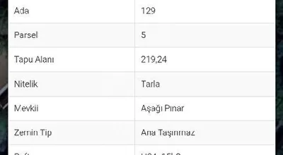 
          Geyve karacaörende köy içi
        