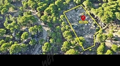 
          KOZAK HACIHAMZALAR'DA MÜSTAKİL TAPU
        
