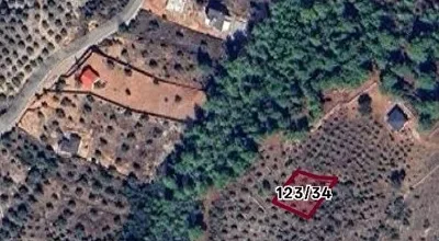 
          SAHİBİNDEN ESENKÖY VE BOZYER SINIRI 928 m2 ZEYTİNLİK
        