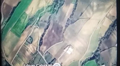 
          Kayı da satılık tarla
        