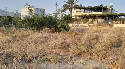 
          satilik parsel
        