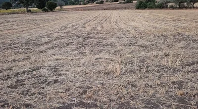 
          Satılık müstakil tarla
        
