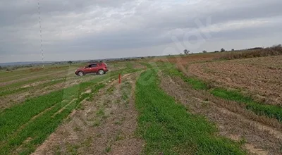 
          Yatırımlık 303 m² Tarla – Tekirdağ Saray Kurtdere
        