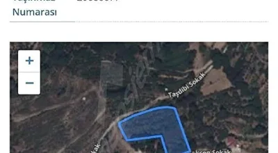 
          mahmutseydi Gökçen mevkiinde satılık zeytinlik tek tapu su ve yolu var 3432 m2
        