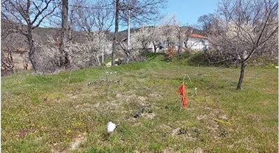 
          orhanelli söğüt mah satılık tarla
        