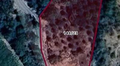 
          SAHİBINDEN SATILIK MEYVE BAHÇESİ
        