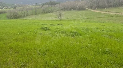 
          SAKARYA TARAKLI İÇDEDELER’DE YOLA CEPHE 4.107,82 m² SATILIK TARLA
        