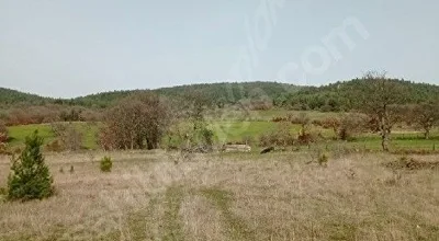 
          PAZARTESİ SON GÜN ! 14.5 DÖNÜM TEK TAPU - İHTİYAÇTAN ŞOK FİYAT
        