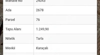 
          Talas kepezde acil satılık tarla
        