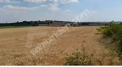 
          Pınarhisar Erenler köyü yatırımlık
        