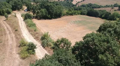 
          ACİL SAHİBİNDEN SATILIK , ekili , yola cepheli, takasa uygun tarla !
        