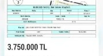 
          Satılık arsa konut +ticari köşe güney cephe
        