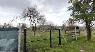 
          Reşadiye Mahallesi'nde satılık 200 m2 bahçe
        