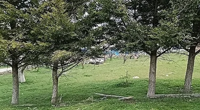 
          Ankara Gölbaşı Oyaca da satılık 2000 dönüm  12 metrekare arsa
        