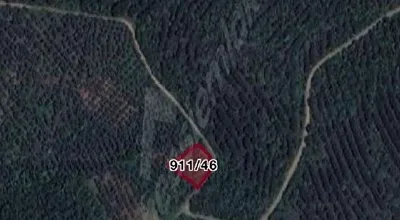 
          sahibinden deniz manzaralı 59 ağaçtan oluşan zeytinlik. yola cepheli
        