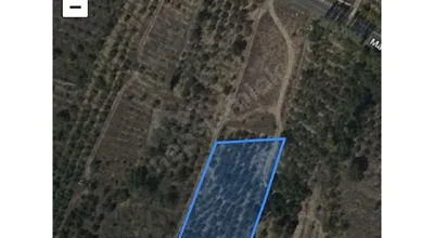 
          YAZLIK YAPMAK İÇİN BAHÇE
        
