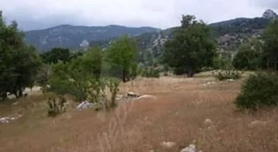 
          Satılık arsa
        