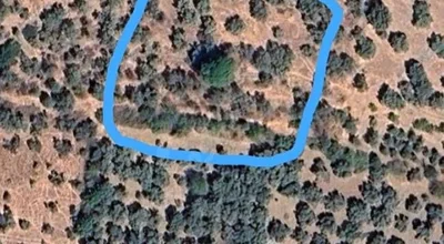 
          İZMİR TORBALI KARAKIZLAR 7 DÖNÜM GÖLETE YAKIN ZEYTİNLİK
        