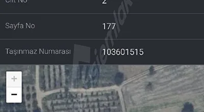 
          Bilecik Merkez’de Uygun Fiyatlı Tarla | Kaçırılmayacak Fırsat
        