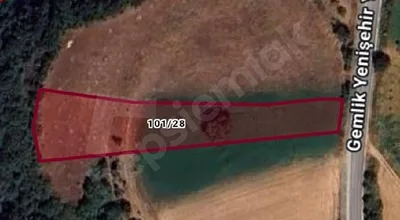
          Yenişehir Orhangazi yoluna cephe yatırımlık tarla
        