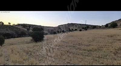 
          SATILIK BAĞ VE TARLA
        