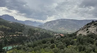 
          Göksu nehrine sıfır satılık zeytin bahçesi
        