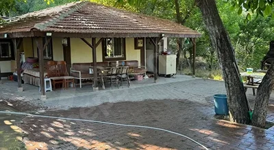 
          SAHİBİNDEN ACİL SATILIK GESİ BAHÇELİ MAHALLESİNDE 4907 M² BAĞ EVİ
        
