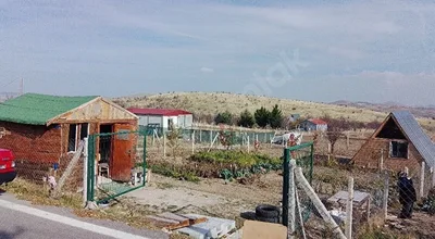 
          Acil Sahibinden Hobi Bahçesi
        