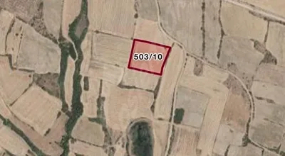 
          236 M2 BELEDİYEYE 2 KM
        
