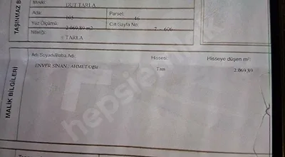 
          acil satılık dut tarlası
        