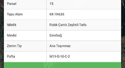 
          Aydın Koçarlı çeşme tek tapu zeytinli tarla
        