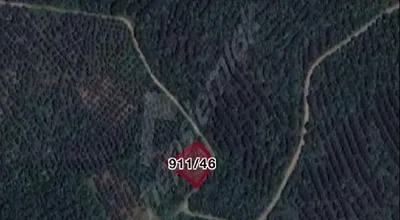 
          sahibinden deniz manzaralı 59 ağaçtan oluşan bakımlı zeytinlik yola cepheli
        