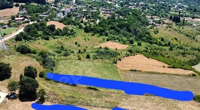 
          SSAILIK TARLA
        