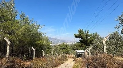 artenew emlaktan Kemalpaşa armutlu hürriyet mah 2 dönüm arsa