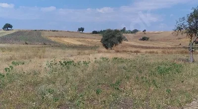 Tercih Edilen Bölgede Yola Cepheli Fırsat Tarla