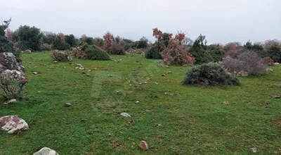 Çanakkale, Tamiş'de 860m2 satılık kooperatif Hissesi.