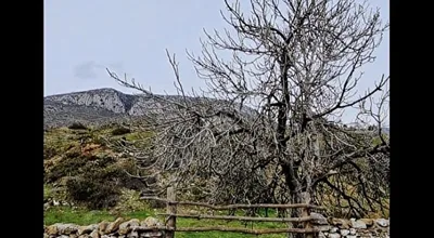 Gökbel Çökertme ana yola cephe müstakil parsel 1975M2 köy imarlı