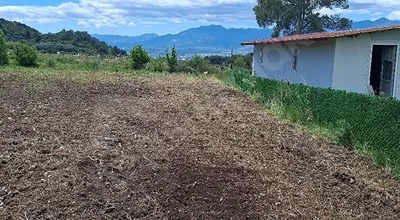 SEYDİKEMER YAKADA HİBE DESTEKLİ TARLA