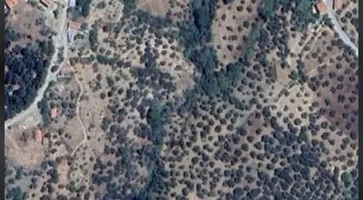 Tarla bağ bahçe