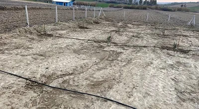 Satılık hobi bahçesi Kızılkaş badras mevkii