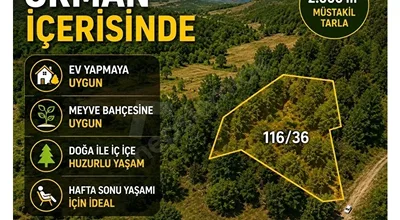 Orman İçerisinde, Huzurlu Konumda 2.000 m² Satılık Tarla