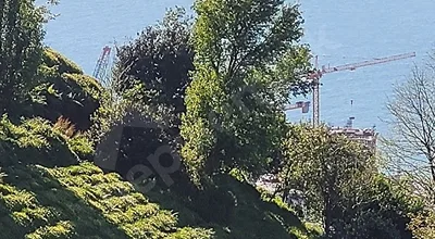 Rize gundogdu satılık hisse