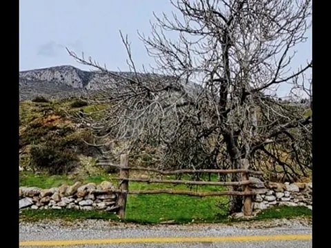 Milas Gökbel Ana Yola Cephe Ortaklı Villalara veya Müstakil Villaya uygun Kupon Arsa 1975 m2