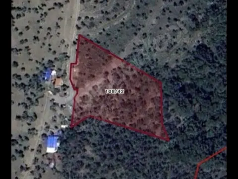 satılık zeytinlik 4.393m2