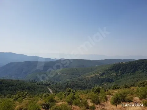 İzmir Çınardibi Satılık Arsa