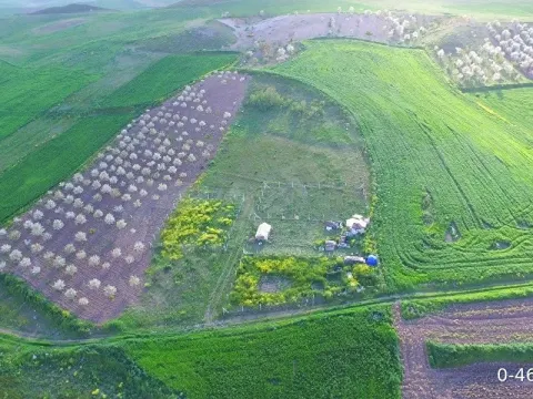 Yatırımlık Kupon Tarla
